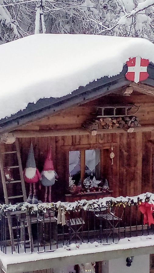 Calme Et Serenite - Etablissement Classe Sixt-Fer-a-Cheval Exterior foto