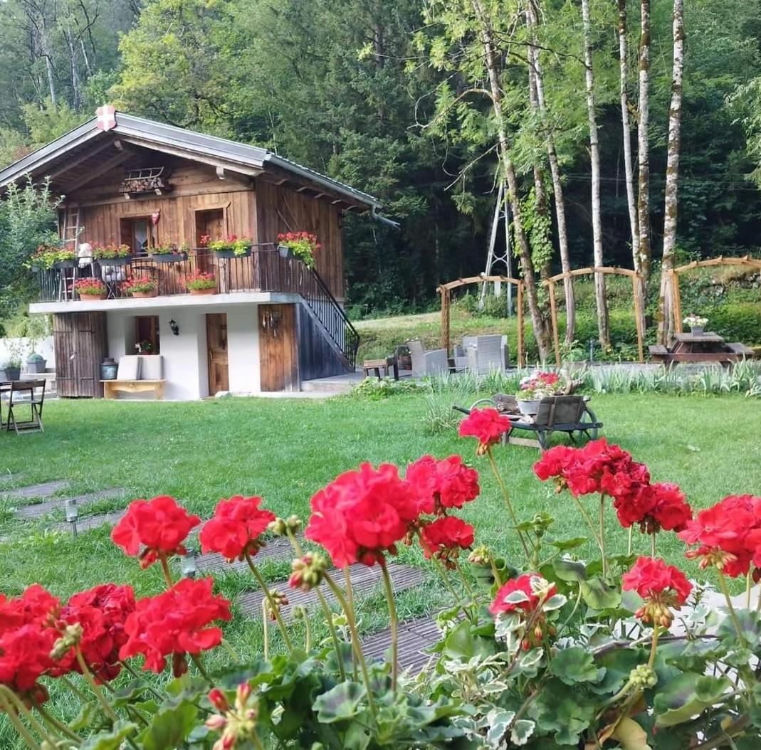 Calme Et Serenite - Etablissement Classe Sixt-Fer-a-Cheval Exterior foto